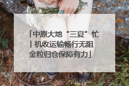 中原大地“三夏”忙丨机收运输畅行无阻 金粒归仓保障有力