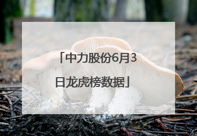 中力股份6月3日龙虎榜数据