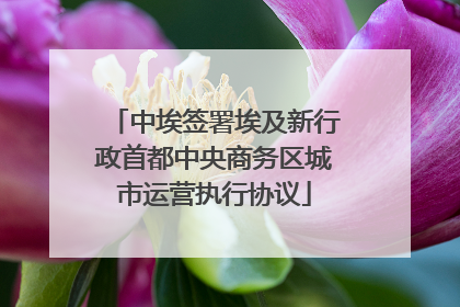 中埃签署埃及新行政首都中央商务区城市运营执行协议