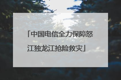 中国电信全力保障怒江独龙江抢险救灾