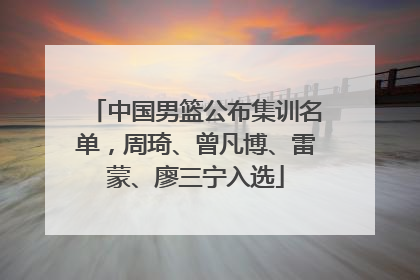 中国男篮公布集训名单，周琦、曾凡博、雷蒙、廖三宁入选