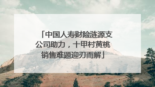 中国人寿财险涟源支公司助力，十甲村黄桃销售难题迎刃而解