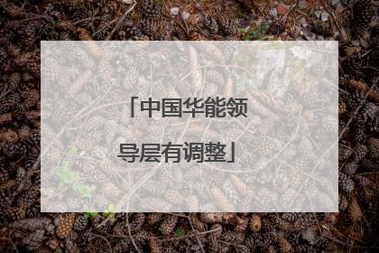 中国华能领导层有调整