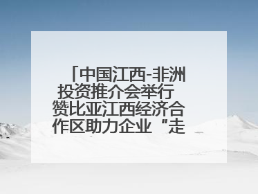 中国江西-非洲投资推介会举行 赞比亚江西经济合作区助力企业“走出去”