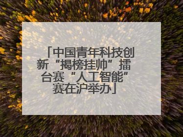 中国青年科技创新“揭榜挂帅”擂台赛“人工智能”赛在沪举办