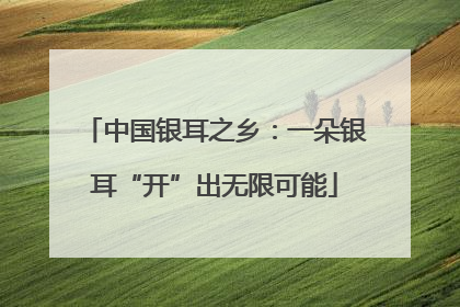 中国银耳之乡：一朵银耳“开”出无限可能