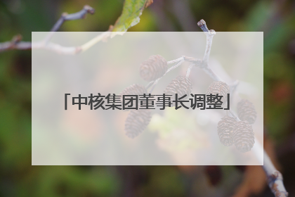 中核集团董事长调整