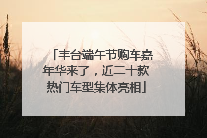丰台端午节购车嘉年华来了，近二十款热门车型集体亮相