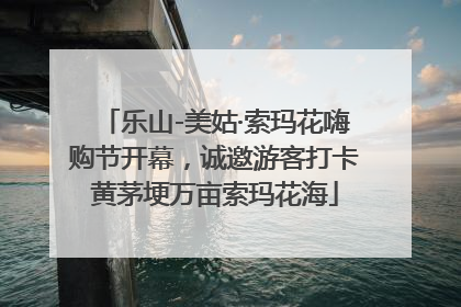 乐山-美姑·索玛花嗨购节开幕，诚邀游客打卡黄茅埂万亩索玛花海