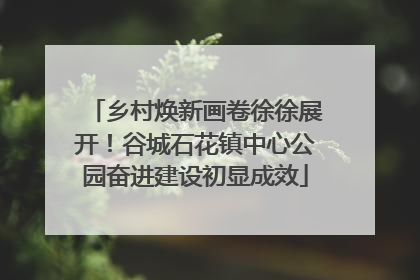乡村焕新画卷徐徐展开！谷城石花镇中心公园奋进建设初显成效