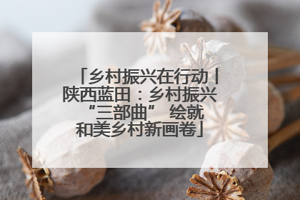 乡村振兴在行动丨陕西蓝田：乡村振兴 “三部曲” 绘就和美乡村新画卷