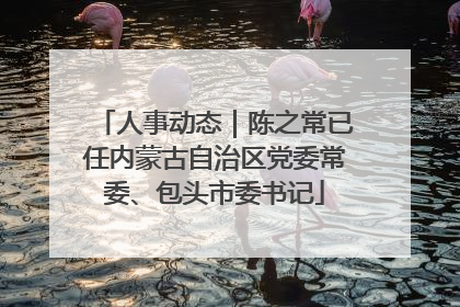 人事动态｜陈之常已任内蒙古自治区党委常委、包头市委书记