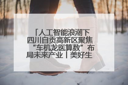 人工智能浪潮下 四川自贡高新区聚焦“车机龙医算数”布局未来产业丨美好生活有“盐”味