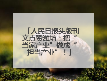 人民日报头版刊文点赞潍坊：把“当家产业”做成“担当产业”！