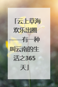 云上草海 欢乐出圈——有一种叫云南的生活之365天