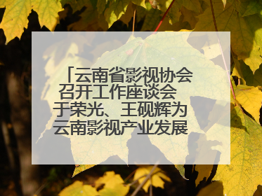 云南省影视协会召开工作座谈会 于荣光、王砚辉为云南影视产业发展出谋划策