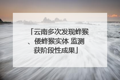 云南多次发现蜂猴、倭蜂猴实体 监测获阶段性成果