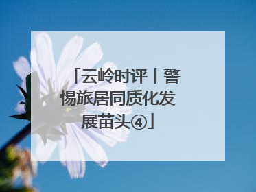 云岭时评丨警惕旅居同质化发展苗头④