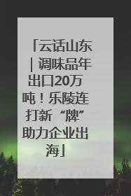 云话山东｜调味品年出口20万吨！乐陵连打新“牌”助力企业出海