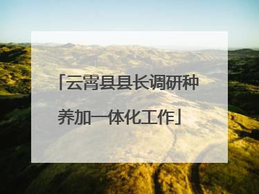 云霄县县长调研种养加一体化工作