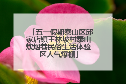 五一假期泰山区邱家店镇王林坡村泰山炊烟巷民俗生活体验区人气爆棚