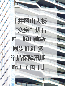 井冈山大桥“变身”进行时：拆旧建新同步推进 多举措保障汛期施工（图）