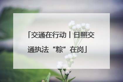交通在行动丨日照交通执法“粽”在岗