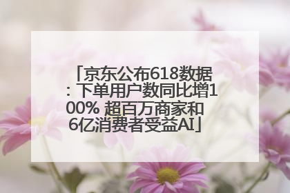京东公布618数据：下单用户数同比增100% 超百万商家和6亿消费者受益AI