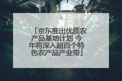 京东推出优质农产品基地计划 今年将深入超百个特色农产品产业带