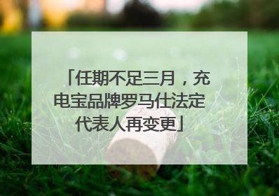任期不足三月，充电宝品牌罗马仕法定代表人再变更