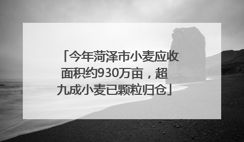 今年菏泽市小麦应收面积约930万亩，超九成小麦已颗粒归仓
