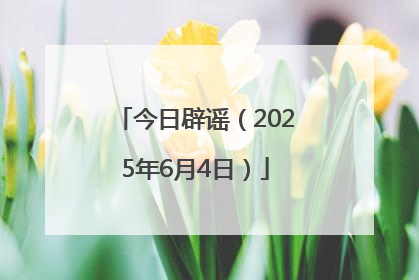 今日辟谣（2025年6月4日）