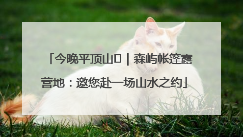 今晚平顶山⑫｜森屿帐篷露营地：邀您赴一场山水之约
