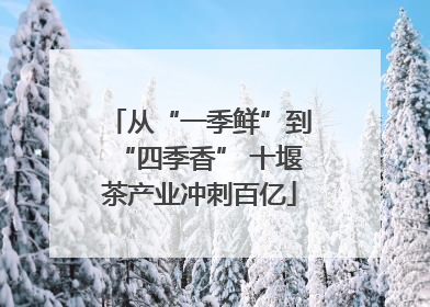 从“一季鲜”到“四季香” 十堰茶产业冲刺百亿