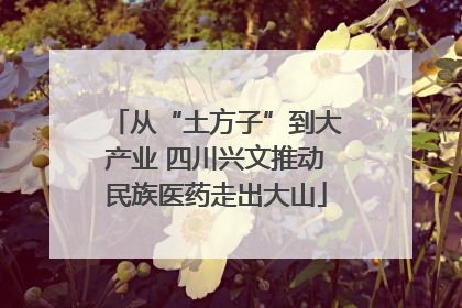 从“土方子”到大产业 四川兴文推动民族医药走出大山