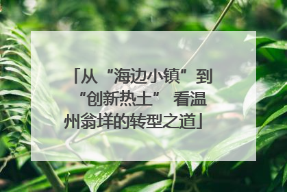 从“海边小镇”到“创新热土” 看温州翁垟的转型之道