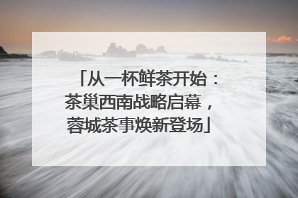 从一杯鲜茶开始：茶巢西南战略启幕，蓉城茶事焕新登场