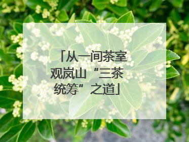 从一间茶室观岚山“三茶统筹”之道