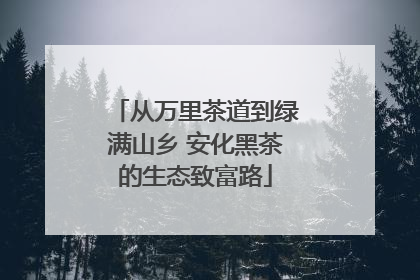 从万里茶道到绿满山乡 安化黑茶的生态致富路