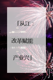 从江：改革赋能产业兴