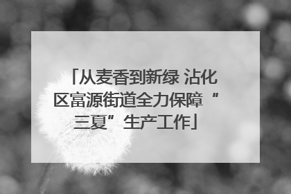 从麦香到新绿 沾化区富源街道全力保障“三夏”生产工作