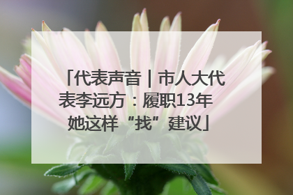 代表声音｜市人大代表李远方：履职13年 她这样“找”建议