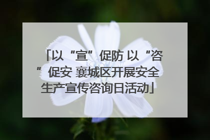 以“宣”促防 以“咨”促安 襄城区开展安全生产宣传咨询日活动