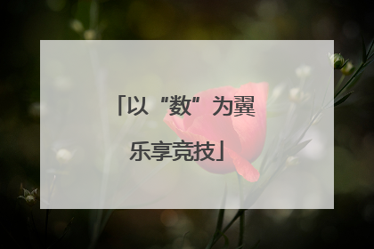 以“数”为翼 乐享竞技