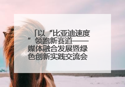 以“比亚迪速度”领跑新赛道——媒体融合发展暨绿色创新实践交流会首站走进比亚迪