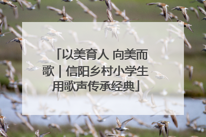 以美育人 向美而歌｜信阳乡村小学生用歌声传承经典