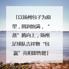 以扬州包子为原型，圆润饱满，“蒸”腾向上，扬州足球队吉祥物“包赢”亮相即售罄