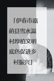 伊春市嘉荫县雪水温村厚植文明底色促进乡村振兴