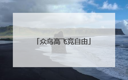 众鸟高飞竞自由