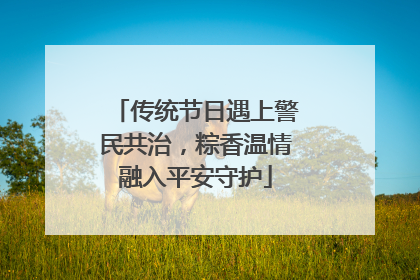 传统节日遇上警民共治，粽香温情融入平安守护